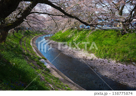桜のある風景ー吉野瀬川 桜のある風景ー吉野瀬川 138775874