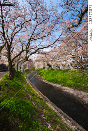 桜のある風景ー吉野瀬川 桜のある風景ー吉野瀬川 138775875