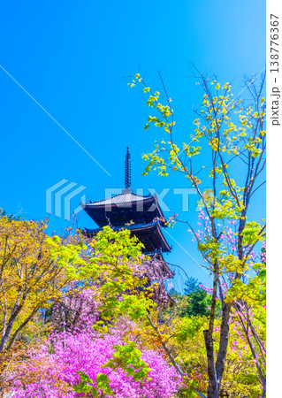 春の仁和寺 ミツバツツジと五重塔 春の仁和寺 ミツバツツジと五重塔 138776367