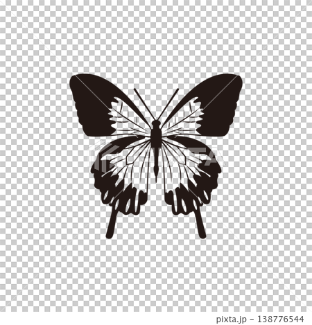蝶々のイラスト 138776544