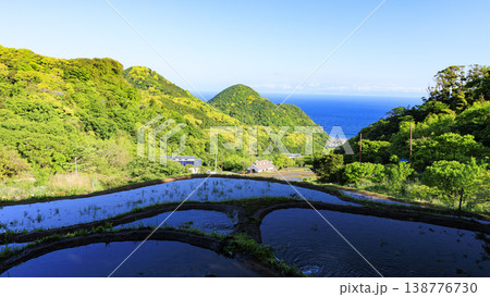 石部の棚田、海越しの駿河湾と富士山 石部の棚田、海越しの駿河湾と富士山 138776730