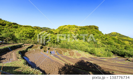 石部の棚田、海越しの駿河湾と富士山 石部の棚田、海越しの駿河湾と富士山 138776734