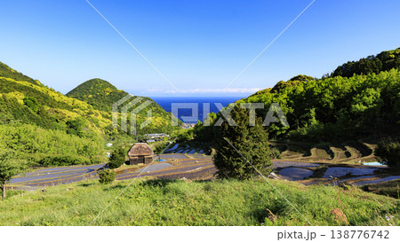 石部の棚田、海越しの駿河湾と富士山 138776742
