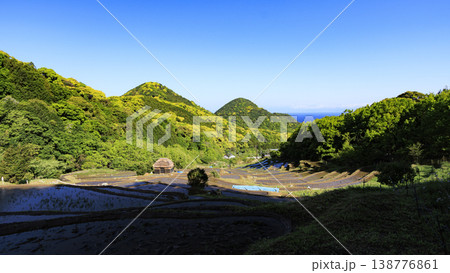 石部の棚田、海越しの駿河湾と富士山 石部の棚田、海越しの駿河湾と富士山 138776861