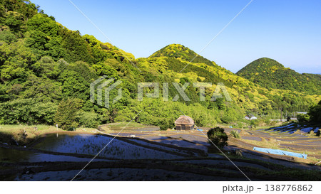 石部の棚田、海越しの駿河湾と富士山 138776862