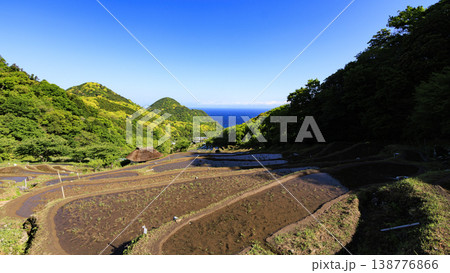 石部の棚田、海越しの駿河湾と富士山 石部の棚田、海越しの駿河湾と富士山 138776866
