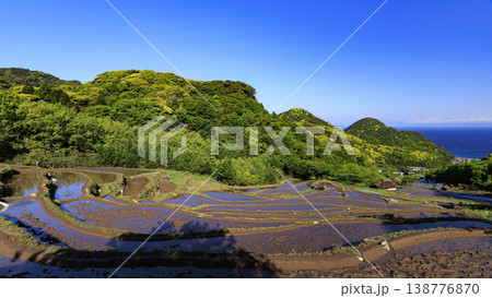 石部の棚田、海越しの駿河湾と富士山 138776870