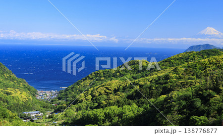 石部の棚田、海越しの駿河湾と富士山 石部の棚田、海越しの駿河湾と富士山 138776877