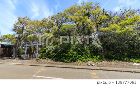 上諏訪神社 上諏訪神社 138777063