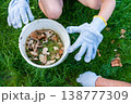 Father and son collecting inedible mushrooms from lawn wearing protective gloves 138777309