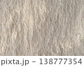 Close-up view of delicate beige fabric with feather-like texture and shimmering metallic threads. 138777354