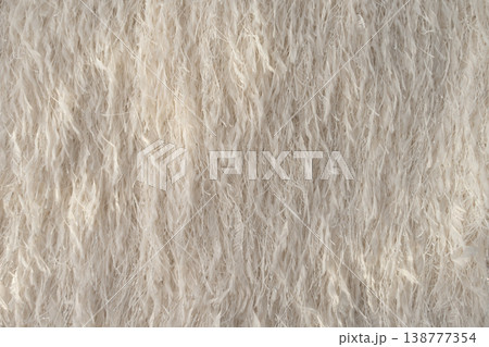 Close-up view of delicate beige fabric with feather-like texture and shimmering metallic threads. 138777354