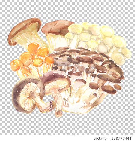 A watercolor illustration of an assortment of various kinds of mushrooms. 138777441