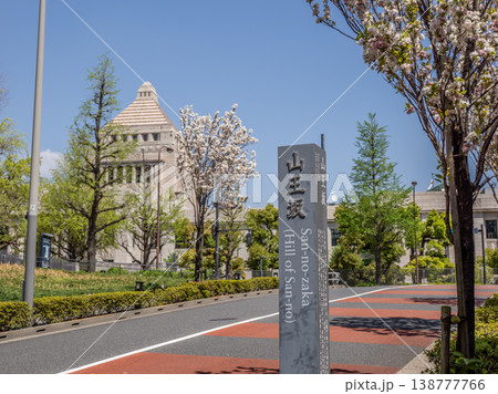 山王坂の標柱と国会議事堂と桜　永田町を象徴する春の風景 138777766
