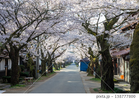 岡山県新庄村のとても美しい春の桜の季節 138777800