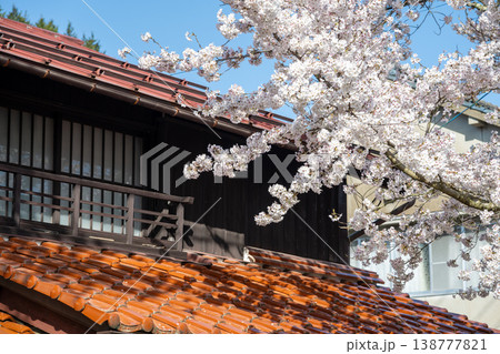 岡山県新庄村のとても美しい春の桜の季節 138777821