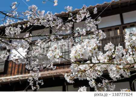 岡山県新庄村のとても美しい春の桜の季節 岡山県新庄村のとても美しい春の桜の季節 138777824