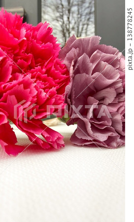 Close-up of Vibrant Pink and Purple Carnations on White Textured Background. 138778245