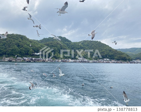 カモメの飛翔シーン 138778813