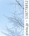 樹霜 138778852