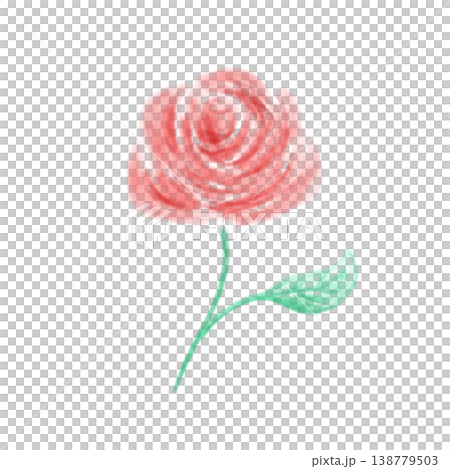 Rose flower 138779503