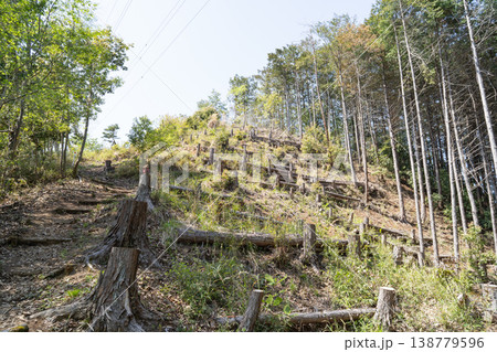 岩戸山・鷹取山パノラマコースの登山道（神奈川県相模原市） 138779596