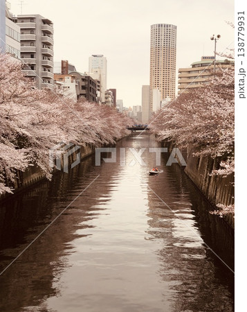 桜のある風景 138779931