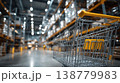 Shopping cart in warehouse aisle logistics retail storage distribution concept modern supply chain industry interior 138779983