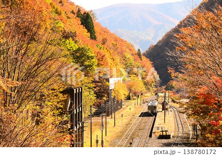 秋のJR釜石線（キハ110系）陸中大橋駅付近 138780172