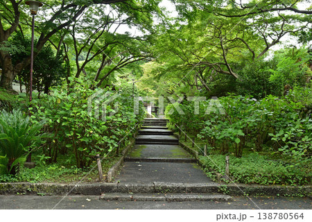 大阪池田市の久安寺 大阪池田市の久安寺 138780564