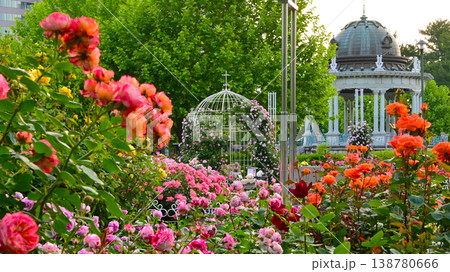 鶴舞公園の美しいバラの花 138780666