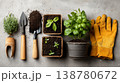 Gardening tools with seedlings soil and gloves arranged on table top view 138780672