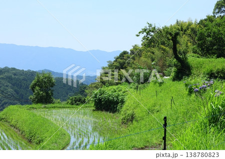 夏の美しい棚田 夏の美しい棚田 138780823