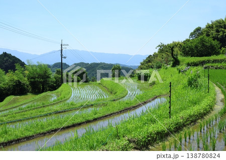 夏の美しい棚田 夏の美しい棚田 138780824