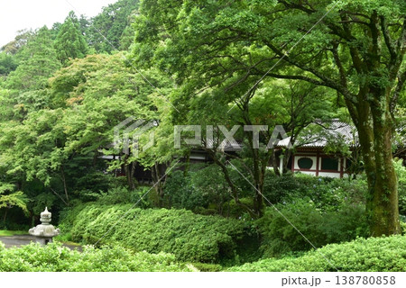 大阪池田市の久安寺 大阪池田市の久安寺 138780858