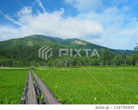 夏の尾瀬ヶ原と至仏山 夏の尾瀬ヶ原と至仏山 138780895
