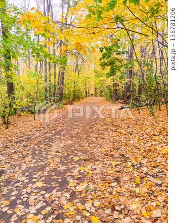 Golden autumn landscape. The road is strewn with yellow autumn leaves in the park. Golden autumn landscape. The road is strewn with yellow autumn leaves in the park. 138781206