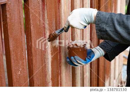 Person painting wooden fence with brown paint in a garden on a sunny day using a brush and a container 138781530