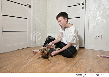 Brushing a small dog on the floor in a simple room during evening time 138781532