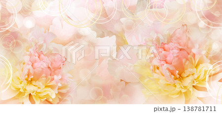 Peony flower. Floral background. Closeup. For design. Nature. Peony flower. Floral background. Closeup. For design. Nature. 138781711
