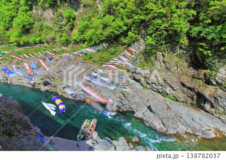【徳島県】鯉のぼりと新緑の大歩危峡 138782037