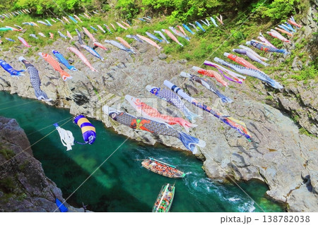 【徳島県】鯉のぼりと新緑の大歩危峡 138782038