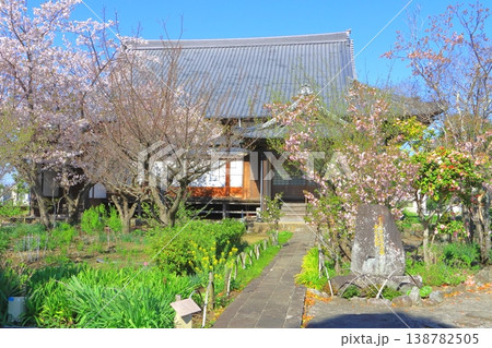 養徳寺（寺町・杵築城下町） 138782505