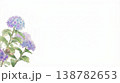 雨の日の紫陽花とかたつむりの水彩イラスト コピースペースあり 138782653