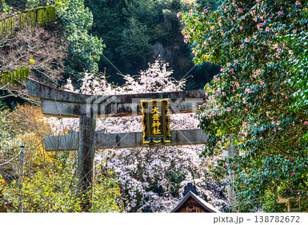 京都、大豊神社の鳥居 138782672