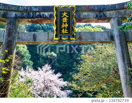 京都、大豊神社の鳥居 138782739