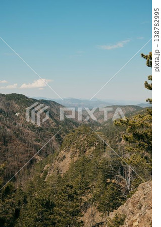 Wide mountain valley covered with forest in Divcibare Serbia. Balkan nature landscape representing wilderness, tourism, hiking and environmental conservation 138782995