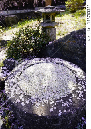 重阪峠に咲く枝垂れ桜 重阪峠に咲く枝垂れ桜 138783339