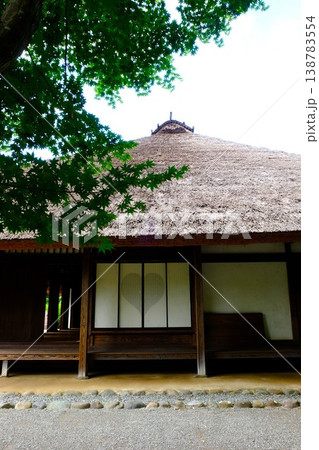 {神奈川県}モミジの新緑と古民家 {神奈川県}モミジの新緑と古民家 138783554