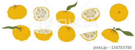 Set of yuzu citrus fruits slices and leaves arranged in hand drawn japanese style vector illustration isolated ideal for ingredient icon pack food design beverage and dessert concepts 138783780